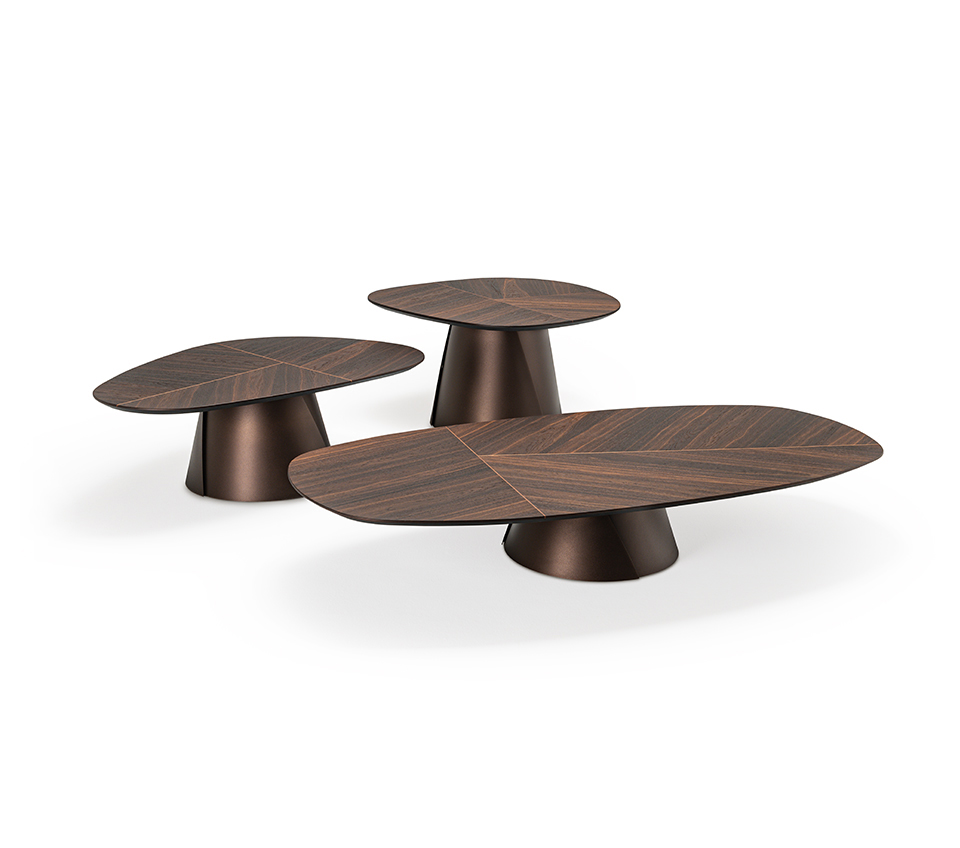 Table basse design haut de gamme Adrian Wood par Cattelan Italia, plateau bois avec incrustations contrastées et base conique métallique, disponible chez D-Style Interior.