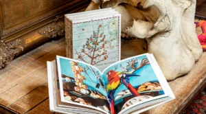 Livre design haut de gamme Four Seasons par Assouline, édition Classics avec illustrations originales, disponible chez D-Style Interior.