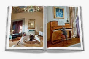 Livre design haut de gamme Four Seasons par Assouline, édition Classics avec illustrations originales, disponible chez D-Style Interior.