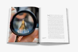 Livre design haut de gamme Montblanc: Inspire Writing par Assouline, édition Legends sous étui luxueux, disponible chez D-Style Interior.