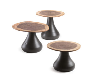 Table basse design haut de gamme Rio par Cattelan Italia, plateau section de tronc de noyer et base aluminium graphite, disponible chez D-Style Interior.